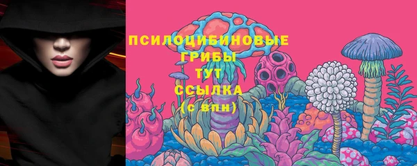 прущая мука Надым
