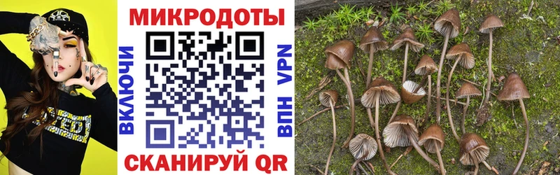 Купить закладки  Брянск  Галлюциногенные грибы Magic Shrooms 