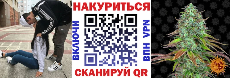 Шишки марихуана Bruce Banner Брянск